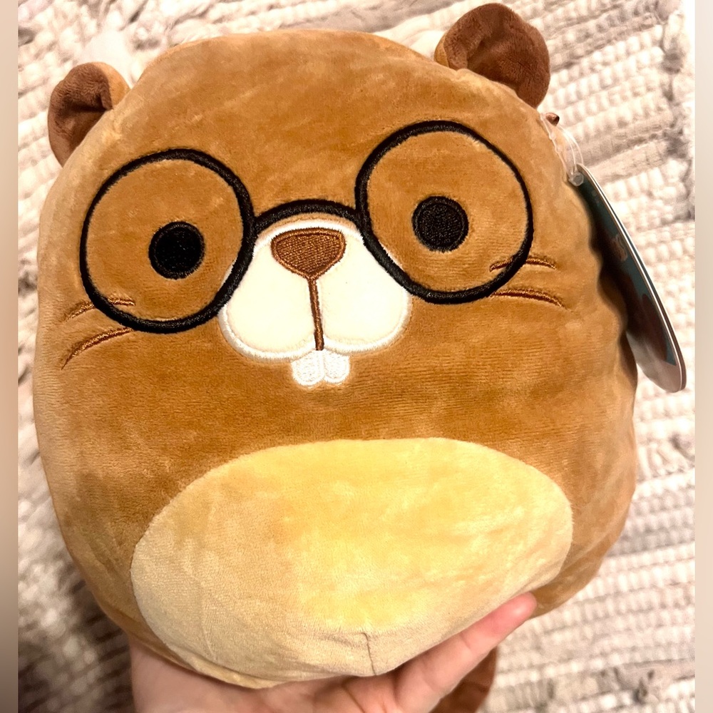 Back to School Chip! Squishmallows 8”